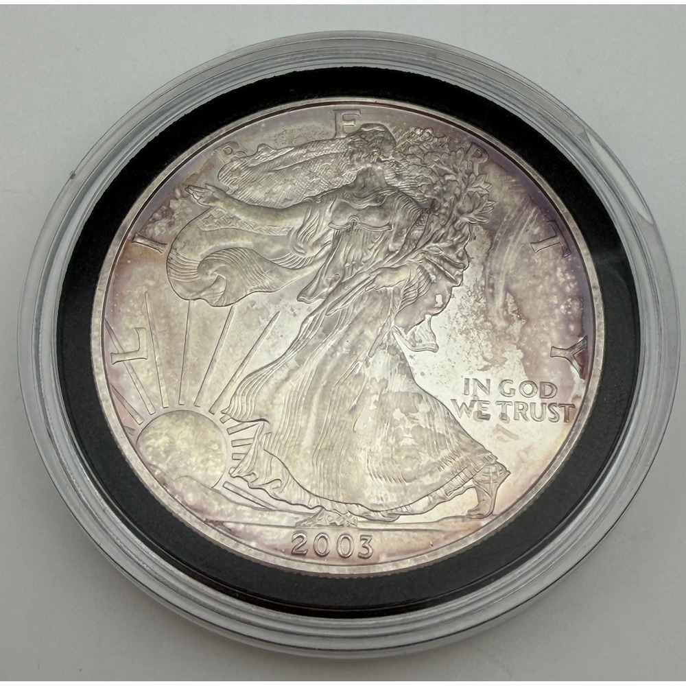 2003 American Silver Eagle 1oz Fine Silver One Dollar Toned Walking Liberty Coin